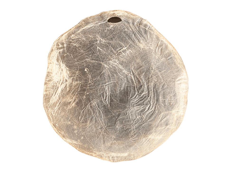 Muestra Scoby Tintura, Cuero Vegano