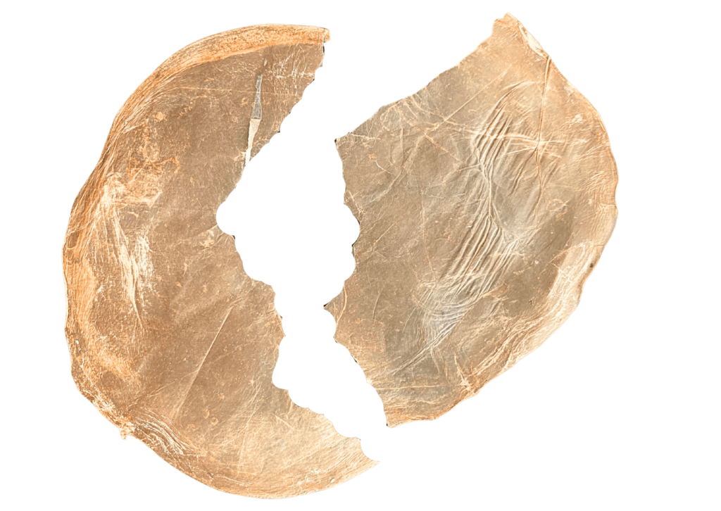 Muestra Scoby Tintura, Cuero Vegano