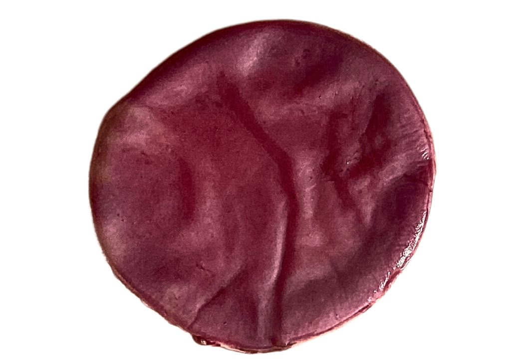 Muestra Scoby Tintura, Cuero Vegano