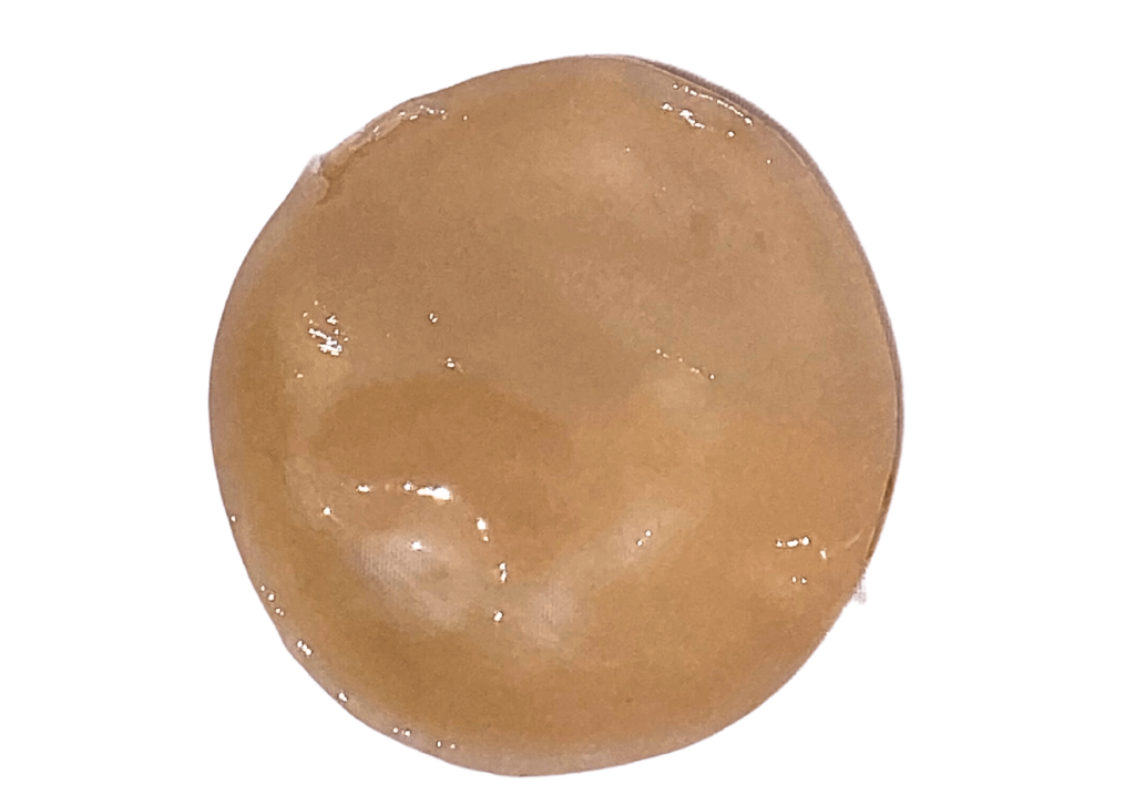 Muestra Scoby Tintura, Cuero Vegano